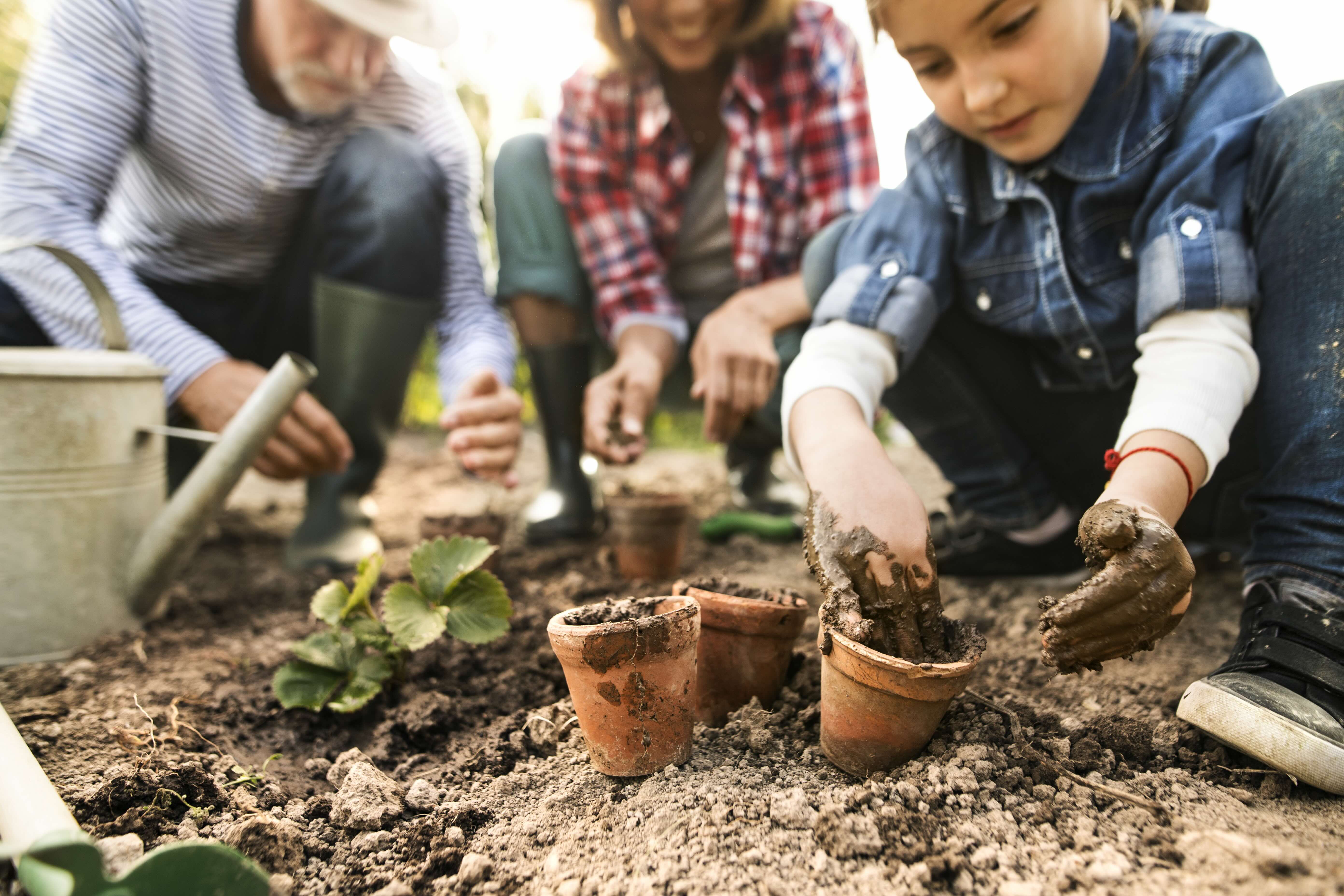 Indiana Professional Lawn and Landscaping Association Members