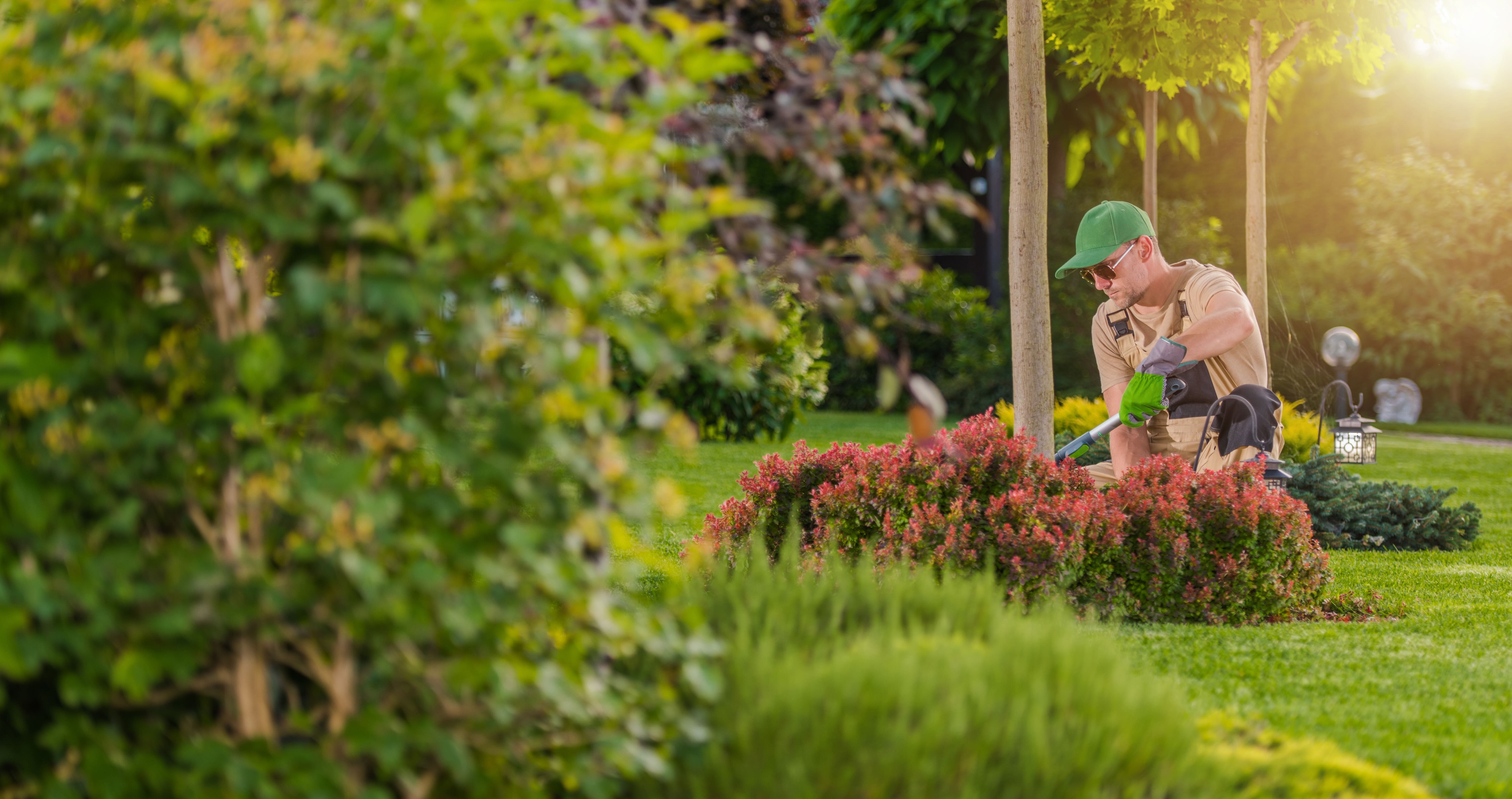 Indiana Professional Lawn and Landscaping Association